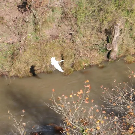 Zenterra With Prive Swimming Pool And View * Matesi