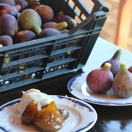 Willa Zenterra With Prive Swimming Pool And View Matesi