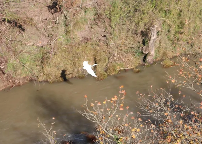 Zenterra With Prive Swimming Pool And View * Matesi